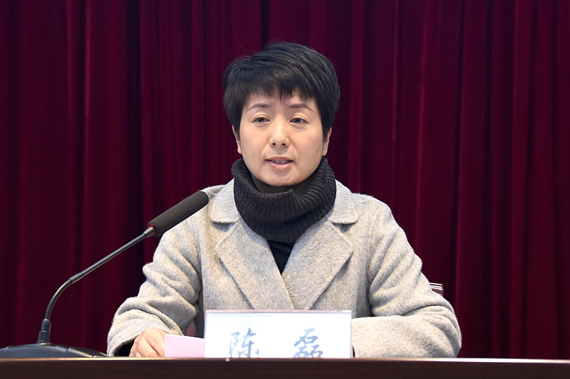 陈磊.jpg