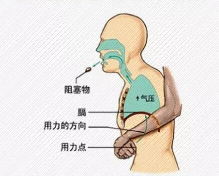 1554974780(1).png 1554974780(1).png